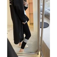 tb打底裤女春夏季薄款外穿保暖新款四条杠秋款百搭显瘦高腰紧身裤 黑色薄款 适合10-*25℃ 均码 80-140斤