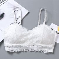 性感蕾丝吊带背心美背内衣女裹胸抹胸高中学生少女聚拢文胸无钢圈 白色 均码 建议(70斤-135斤)