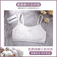 发育期小背心女学生9-12小学初中生16岁女孩女童大童内衣少女文胸 白色[1件] 均码[合适60-120斤穿]
