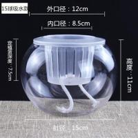 水培植物玻璃透明花瓶 水培绿萝发财树富贵竹花盆圆球养鱼缸容器 中号吸水圆球(送棉绳) 中等