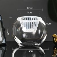 水培植物玻璃瓶水养绿萝花瓶花盆大号透明玻璃圆球鱼缸器皿容器 15圆球送加深水培篮 中等