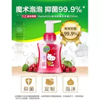 滴露泡沫抑菌洗手液 樱桃芬芳 250mlHello Kitty款 250mL