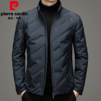 皮尔卡丹2021冬季新款无帽立领羽绒服男90%白鸭绒休闲轻薄羽绒外套上衣