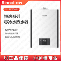 林内(Rinnai) 燃气热水器20升零冷水天然气恒逸系列RUS-R20E32FRF(JSQ40-R32F)