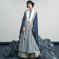 海棠私语丨未明汉服女正品原创晚明风立领斜襟长衫