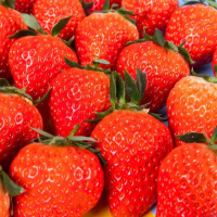 草莓180g±50g(盒)