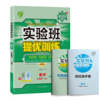 2023春 九年级下册实验班提优训练数学初三9年级下九下北师大初中同步练习册专项训练单元提优测评卷阅读理解 数学(北师大