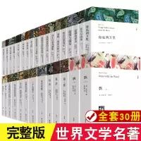 全30册 世界三十大名著书籍全套原著无删减简爱飘基督山伯爵外国经典文学初中生高中生阅读课外书籍 中文