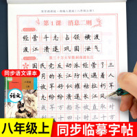 [配套教材]八年级上册语文字帖 初二同步练字帖部编版人教版上 2022年写字练字钢笔描红练习 8年级上学期课 八年级上同