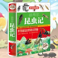 彩图精装 法布尔昆虫记少儿科普读物书籍中小学生三四五六年级课外阅读读书籍 彩图版青少版销图书 昆虫百科