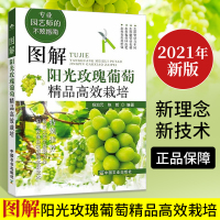 图解阳光玫瑰葡萄精品高效栽培种植技术大全书籍农业大棚种植的书园林花卉果树病虫草害诊断与防治合理整修修