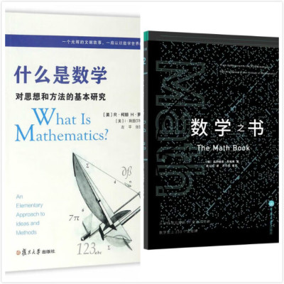 全2册两本 什么是数学(第四版)+数学之书 数学250个里程碑式的发现,带你发现数学之美 复旦大学
