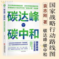 正版碳达峰·碳中和:国家战略行动路线图 袁志刚 著 中国经济绿色低碳节能减排发展理念经济书籍 中国经济