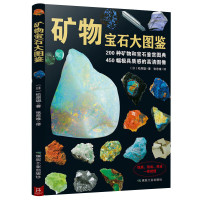矿物与岩石宝石与晶体大图鉴矿物与宝石的知识和图鉴200种矿物宝石鉴赏图典宝石圣典收藏爱好者实用寻宝图名鉴书籍