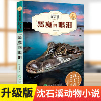 沈石溪动物小说大王全集珍藏版全套12册正版三年级四五六年级小学生课外阅读书籍狼王梦的作品儿童文学经典读物非注音版单本