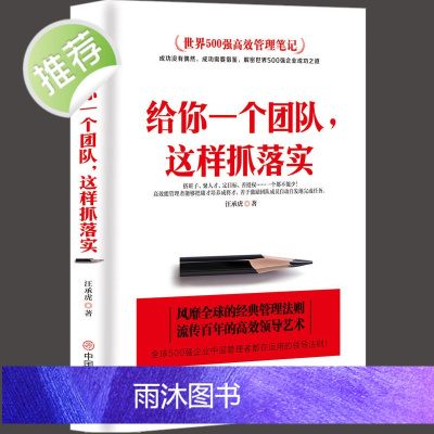 给你一个团队,这样抓落实 管理书籍领导力 带团队营销管理酒店餐饮物业管理书籍领导力团队管理方面的书籍中国式管理 管理类书