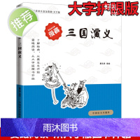 三国演义(大字版)/蔡志忠古典漫画国学系列 儒学古籍典藏漫画 6-12-15岁中小学生课外书4-6年级少儿国学漫画经典启