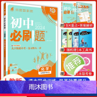 化学 九年级下 [正版]2024新版 初中必刷题九年级下册化学人教版 中考必刷题9年级化学同步练习册试卷题库 初三九下化