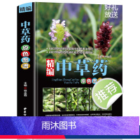 [正版]精编中国药典中药原色图谱 中草药图鉴图谱 中国药材图鉴 中医学书籍中药材大全 300余种常用中草药识别应用原色