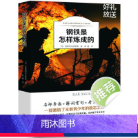 钢铁是怎样炼成的 [正版]钢铁是怎样炼成的原著完整无删减适合小学生初中生课外阅读书籍青少年初二学生版七八年级下册世界文学