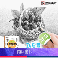 [正版]墨点美术新启蒙素描基础教程综合篇零基础学生小白绘画入门教程书籍带视频教学单体动物静物范例结构明暗排线绘图铅笔绘