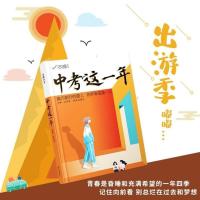 2022年中考 中考这一年 课外青春励志读物 初中高效学习逆袭书