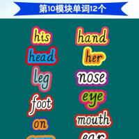 3上10模块单词12张(塑料不含磁贴 外研版小学英语三年级上册公开课单词板书卡片黑板贴教师闪卡教具