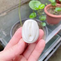 单颗颗粒[不是手串] 保密发货 放心 女阴手把件生命之源九阴一阳手串橄榄胡旺财升职加薪手链送礼神器