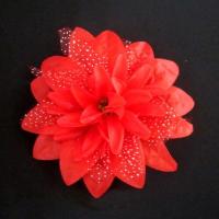 大红色 10个/袋 鸡毛头花儿童成人女头饰品发饰发夹拉丁舞傣族舞蹈道具服配饰表演