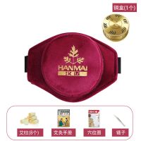 一联纯铜+8艾柱 艾灸盒随身灸家用家庭式热敷袋熏包全身艾炙艾条宫寒妇科熏蒸仪器