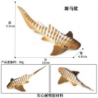 M-693斑马鲨 儿童仿真海洋生物模型斑马鲨海底动物世界鲨鱼实心静态塑胶玩具