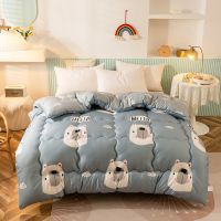 熊熊乐园 100*150 [儿童被] 春秋双人被学生宿舍被子被芯四季通用空调被冬被加厚保暖单人棉被