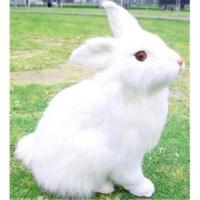 白色 仿真小白兔毛绒玩具动物玩偶静态模型可爱摆件摄影道具小兔子.···