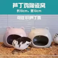 笼子内陶瓷窝一个 芦丁鸡鸭子专用养殖笼家用发酵床笼子饲养箱养鸡仓鼠鹌鹑60基础笼