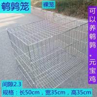 鹌鹑笼裸笼 小型鹌鹑笼芦丁元宝鸡笼自动出蛋产蛋下蛋笼养殖笼镀锌笼