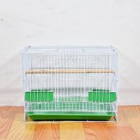 小号35*25*26cm白色标配 鸟笼金属鹦鹉笼鸽子相思鸟笼鹌鹑笼兔子笼小鸡笼通用群笼繁殖笼