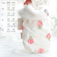 蘑菇 XS号(大约适合1-3斤穿) 狗狗衣服秋冬装猫咪公主棉衣双层刺绣可爱泰迪小型犬宠物衣服2968