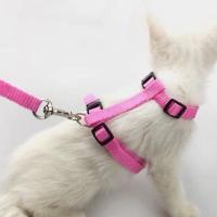 粉色经典胸背+牵引绳 均码2-12斤猫犬 狗狗牵引绳胸背带宠物小型犬猫咪外出防挣脱背心可爱狗链子幼犬