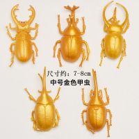 金色甲虫一套(5个) 仿真甲虫模型金色甲壳虫装饰道具摆件装饰品金甲虫玩具独角仙昆虫