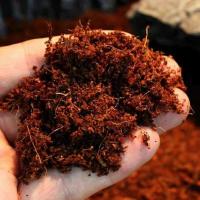 椰土100克(试用装)无赠品 乌龟冬眠椰土用品沙保湿苔藓垫材蜘蛛蝎子保暖蜗牛天然椰砖无菌土