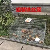 70x40x30裸笼送卡扣 加粗鸽子笼子养殖笼小鸡笼兔笼鹌鹑笼鸽子笼鸡笼家用鸽子养殖笼子