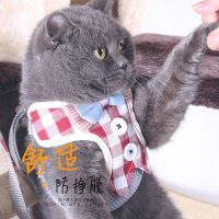 红色格子蝴蝶结-S小号 猫咪牵引绳猫绳子遛猫绳胸背带防挣脱栓猫绳背心式幼猫链子