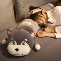 羽绒棉哈士奇 70厘米 可爱哈士奇毛绒玩具毛毛虫长条床上抱枕公仔趴趴狗布娃娃生日礼物
