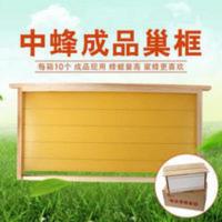中蜂巢础框成品巢框散装蜜蜂巢框带巢础巢框养蜂工具全套养蜂工具 中蜂巢础框成品巢框散装蜜蜂巢框带巢础巢框养蜂工具全套养蜂工