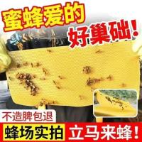 [1盒装]30张巢础 中蜂巢础片蜂蜡蜂巢蜜蜂巢框蜂箱养蜂工具专用皮巢脾巢皮深房巢基