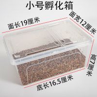 小号全套孵化箱[送喷壶]无蛋 爬宠种龟蛋孵化器金黄蛭石垫材蛇蛋蜥蜴孵化盒保湿乌龟蛋可孵化箱