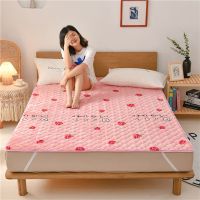 草莓 0.9*2米 加厚保暖法莱绒床护垫可水洗床垫保暖薄床褥学生宿舍榻榻米床垫子