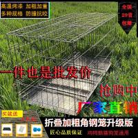 河北河南山西 广东陕西 长70x宽50x高61CM 加粗角钢狗笼子猫笼子折叠带厕所分离中大型犬拉布拉多金毛宠物笼