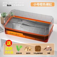 赛博朋克(落日橙) 小号(适6cm内龟)+大礼包 乌龟缸大型带晒台造景别墅防逃水陆两用养龟缸底部排水乌龟专用缸