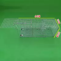 小号踏板网:64*23*25cm 抓鸽子笼捕鸽神器自动诱鸽笼子折叠只进不出鸽子笼逮鸽子神器